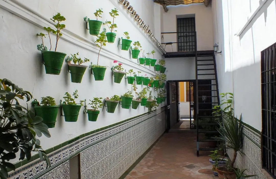 Patio Cordobes-1