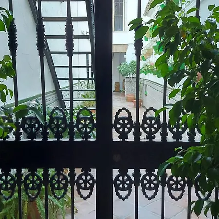 Patio Cordobes-3
