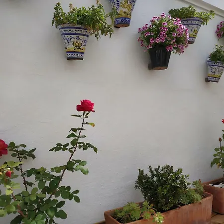 Hostal Esencia De Azahar-2